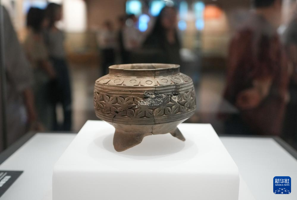 新時代中國調研行之文化中華｜在山東大汶口探尋文明曙光